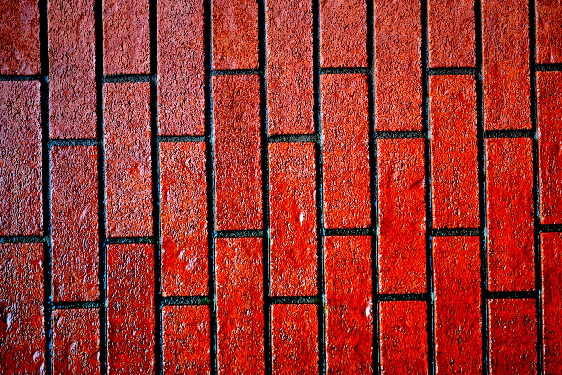red bricks wall free photo
