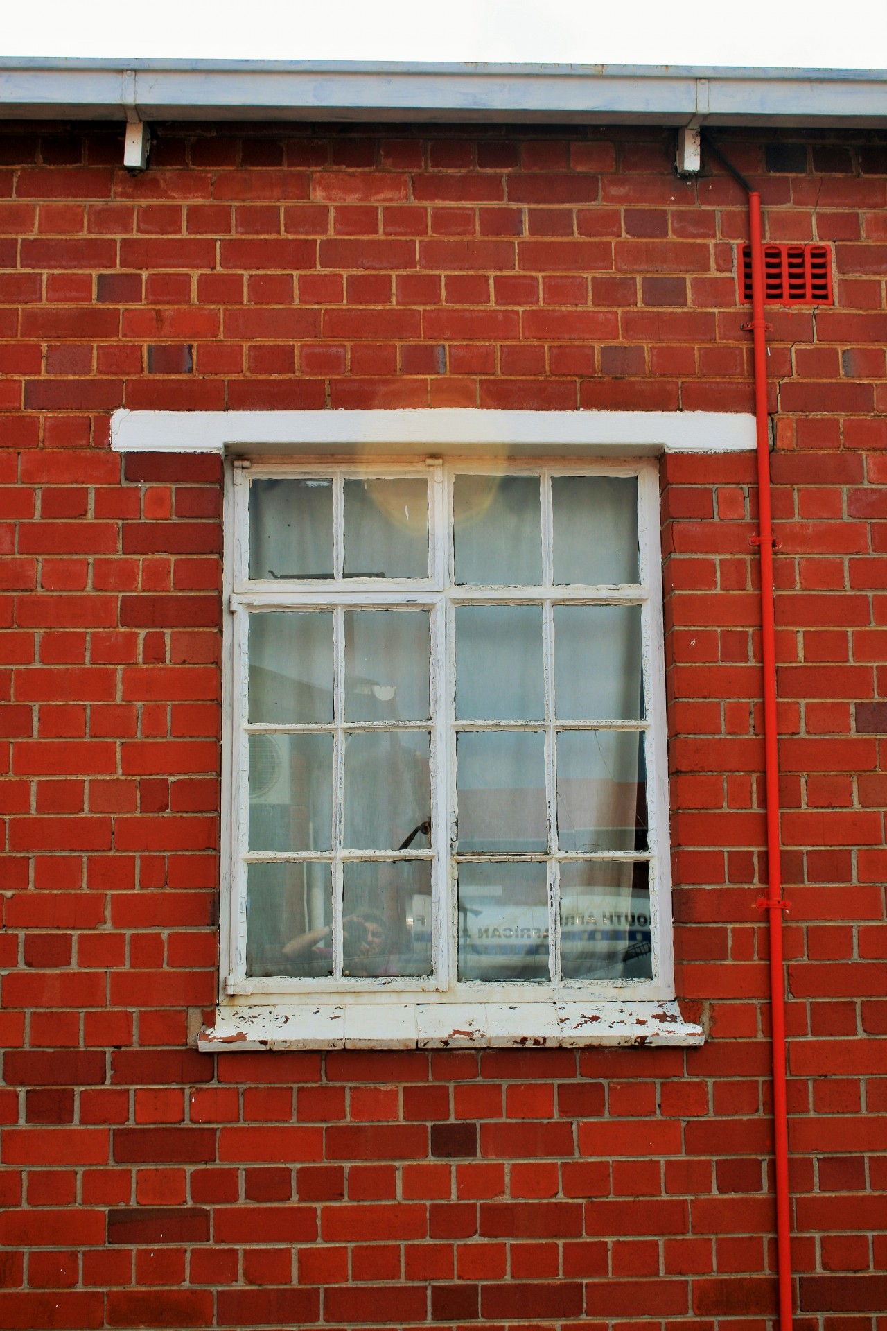 wall brick red free photo