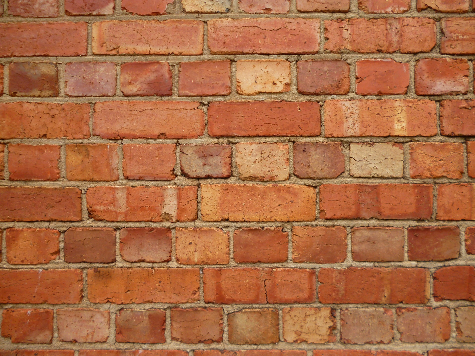 red brick wall free photo