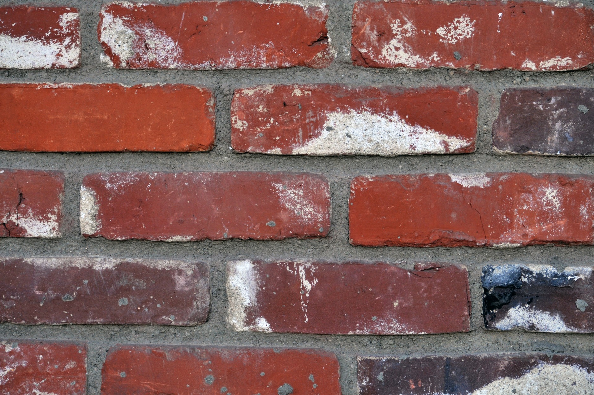 background red bricks free photo