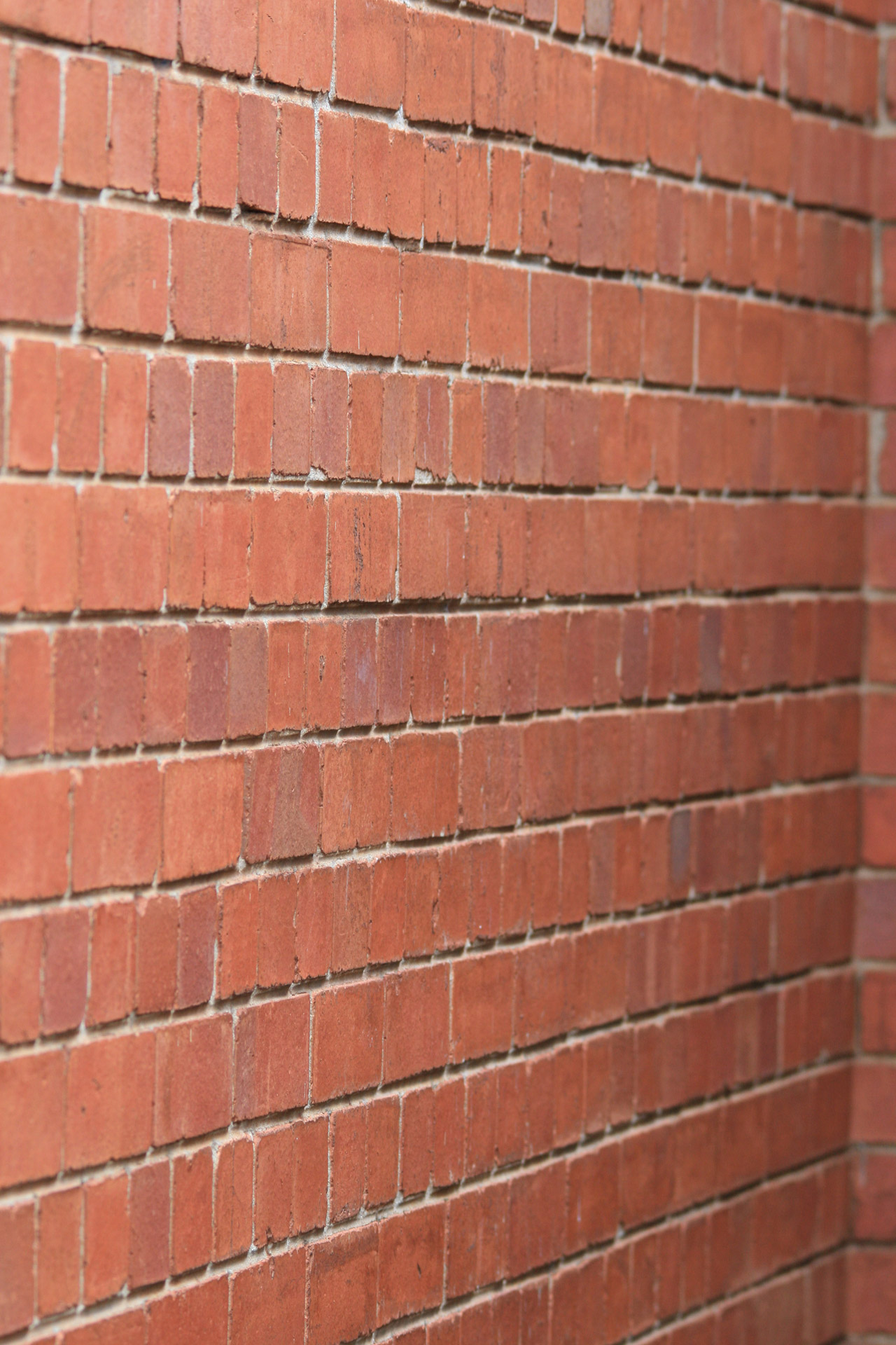 wall brick red free photo