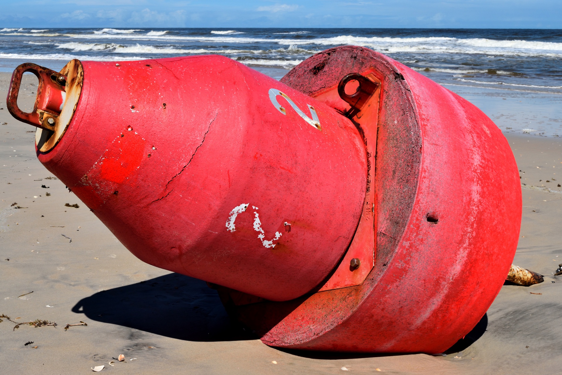 red buoy washed up beach free photo