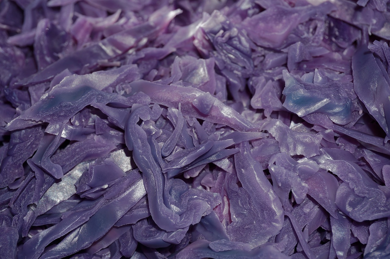 red cabbage herb raw food free photo