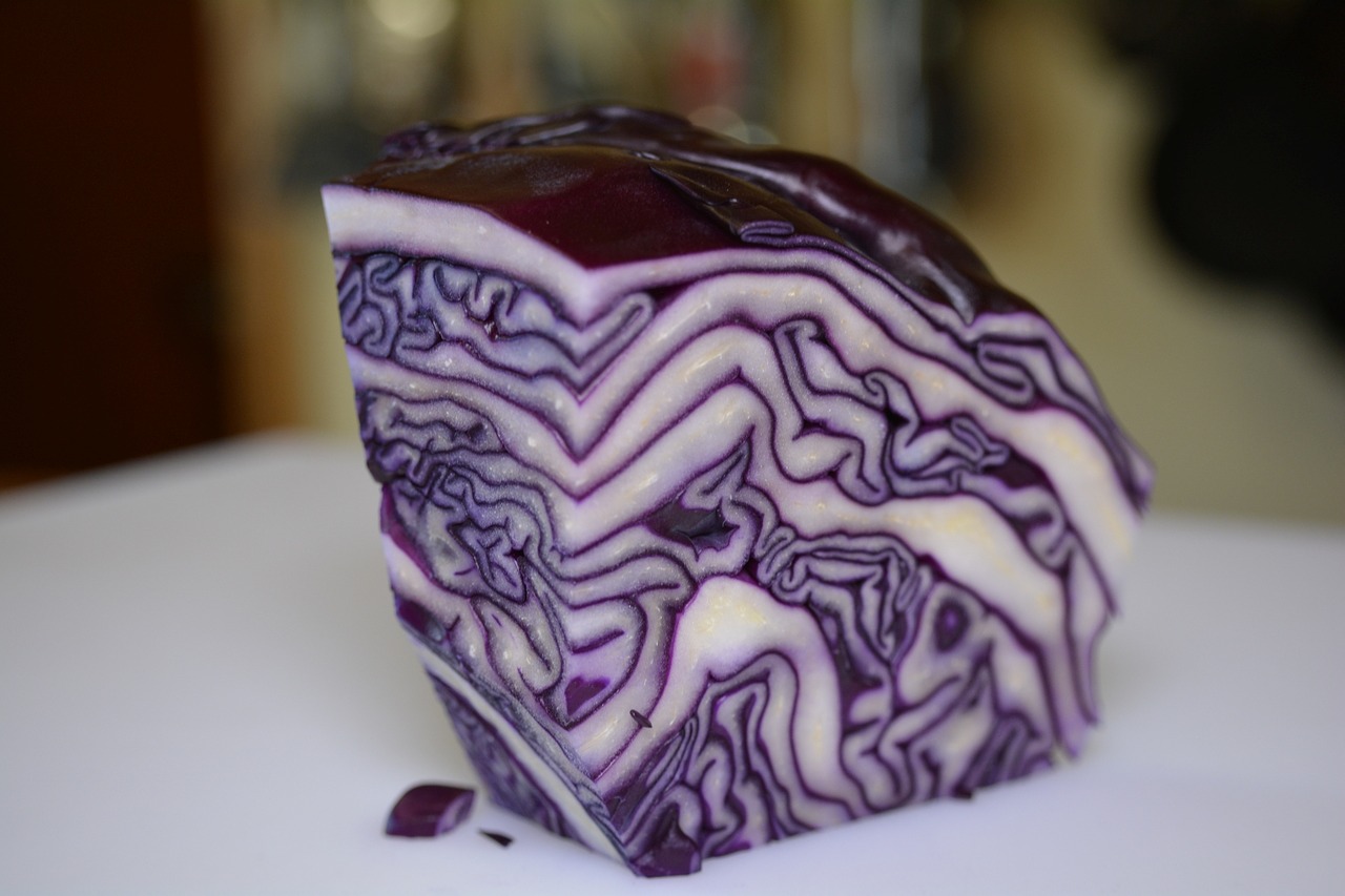 red cabbage eat food free photo