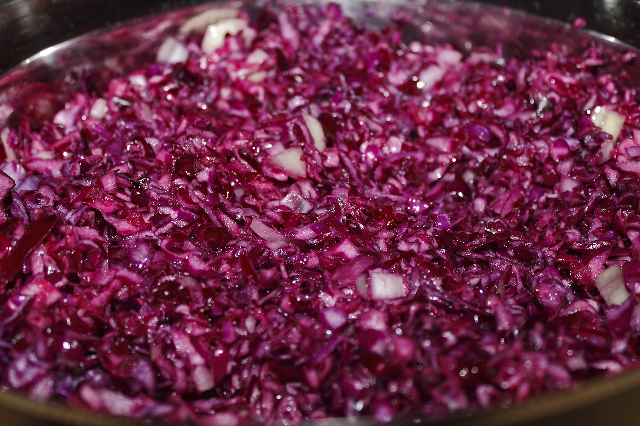 red cabbage coleslaw kohl free photo