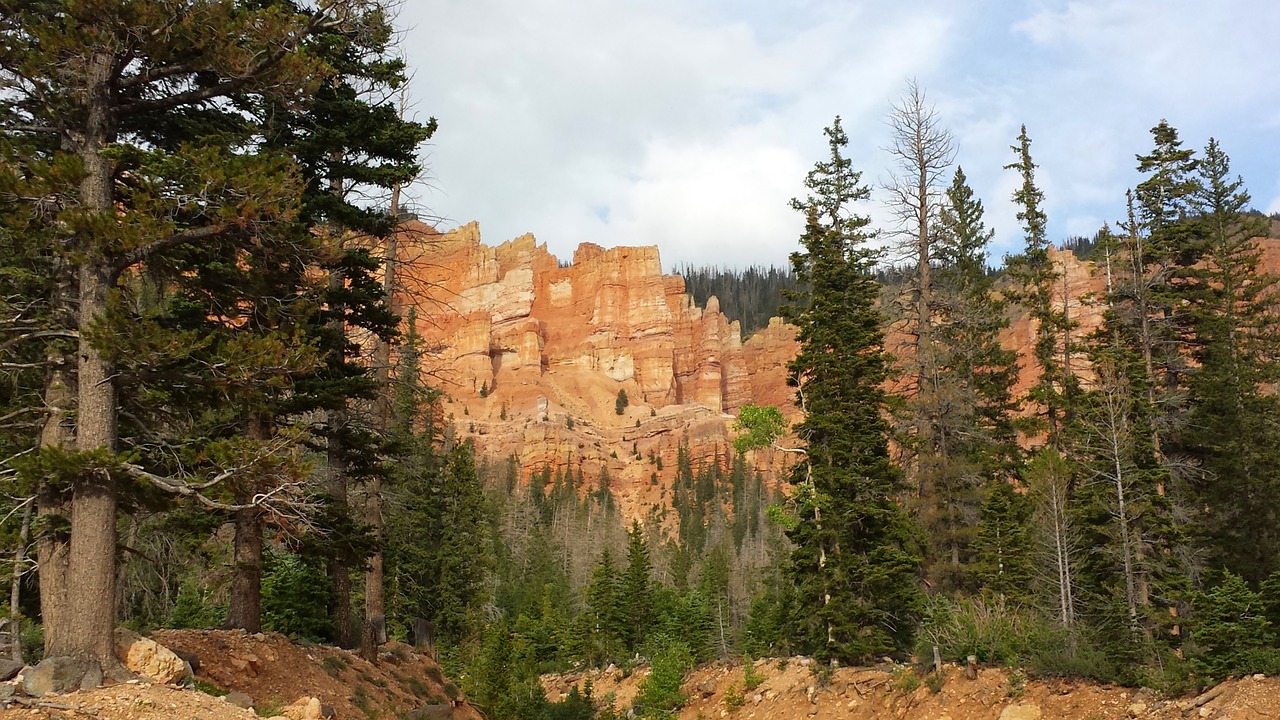 red canyon cedar city utah free photo