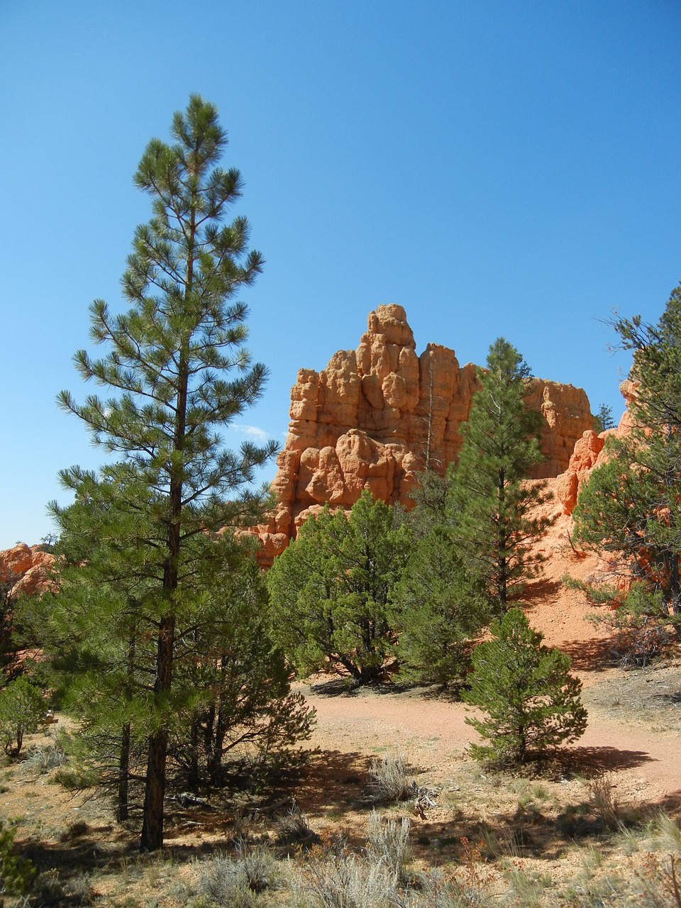 red canyon mountains usa free photo