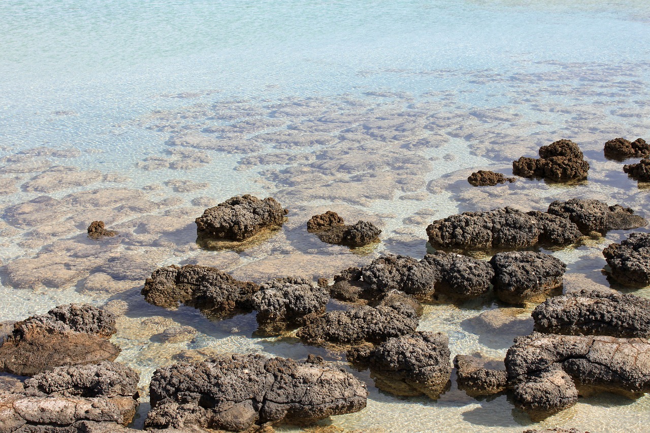 red caps australia stromatolit free photo