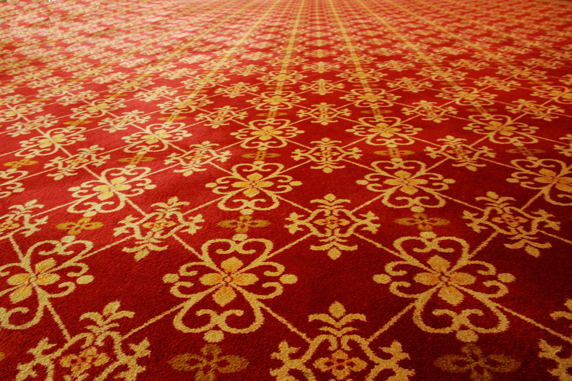 red carpet carpet red free photo