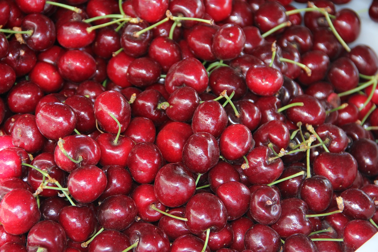 red cherries fruit cherry free photo