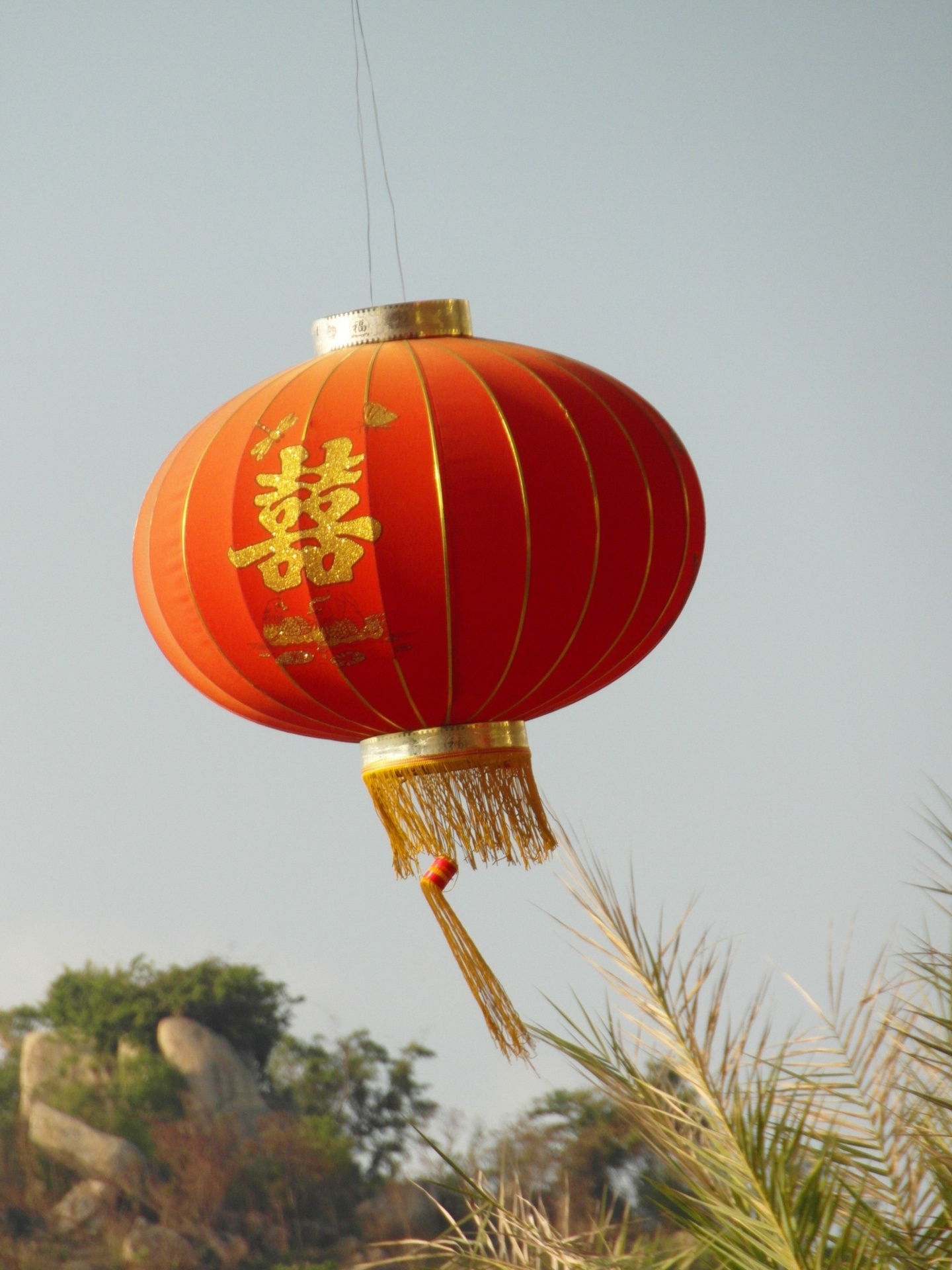 red chinese lantern free photo