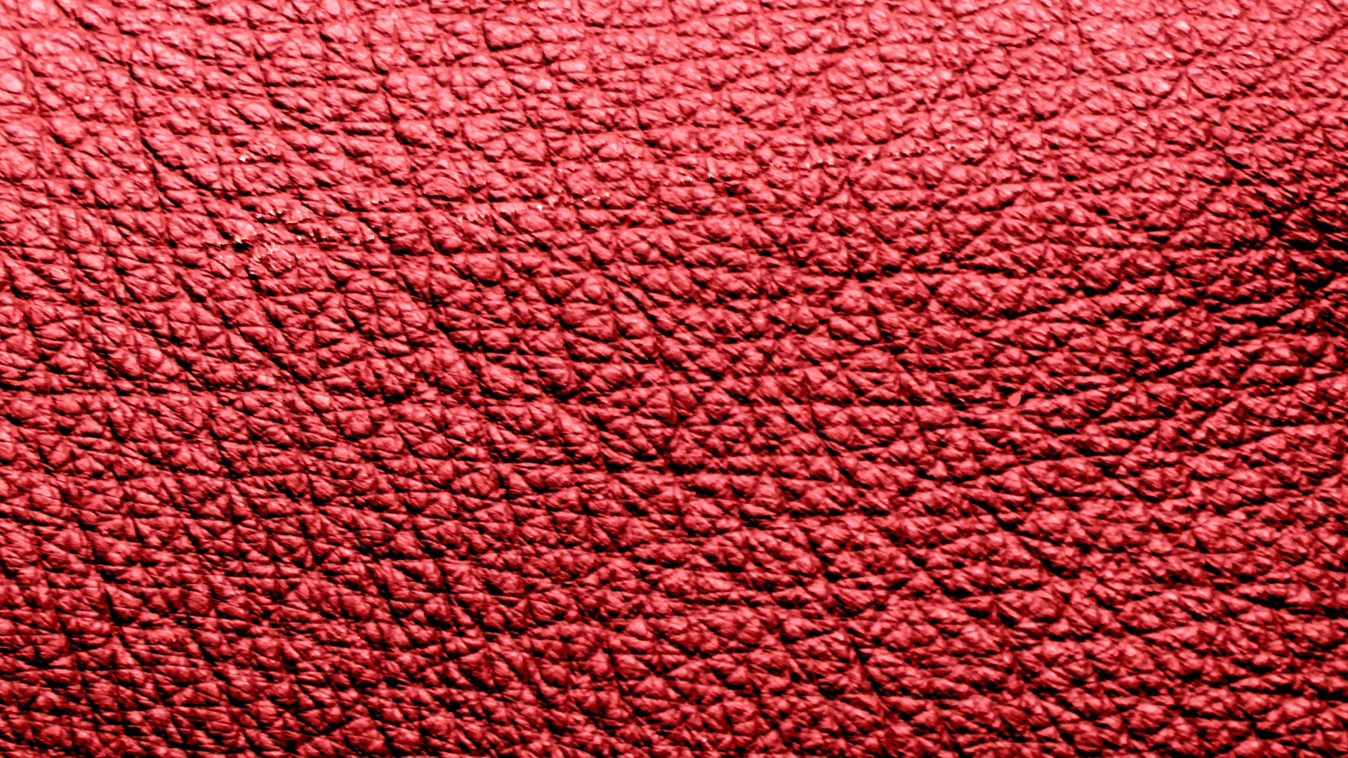 red pink wallpaper free photo