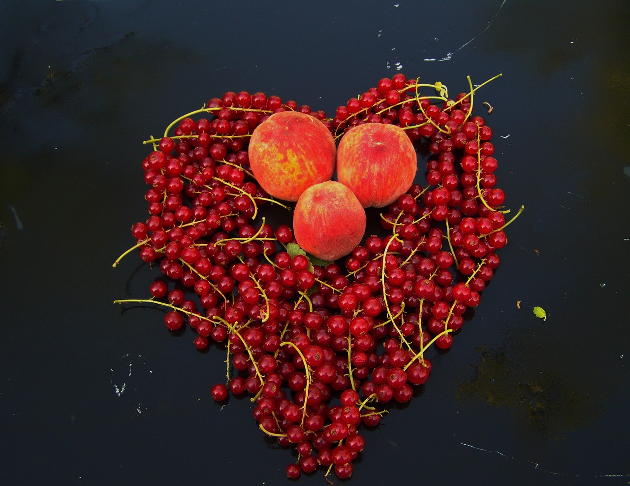 red currant red fruit ripe berry free photo