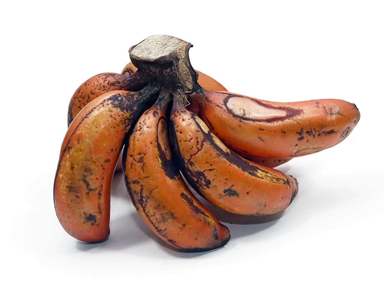 red dacca bananas reddish free photo