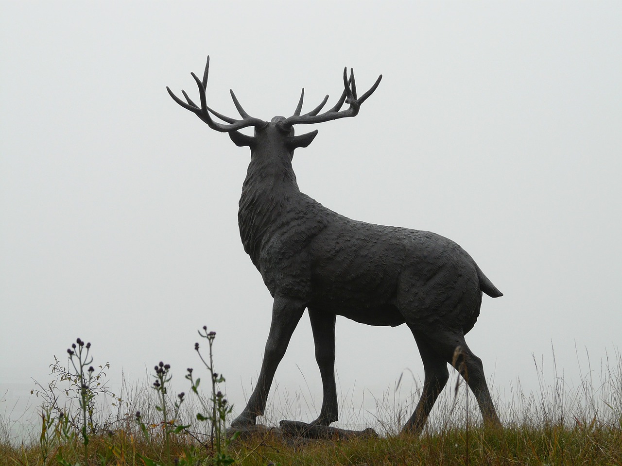 red deer,bronze statue,hirsch,cervidae,antler carrier,paarhufer,artiodactyla,cast iron,antler,pipe,fog,free pictures, free photos, free images, royalty free, free illustrations, public domain