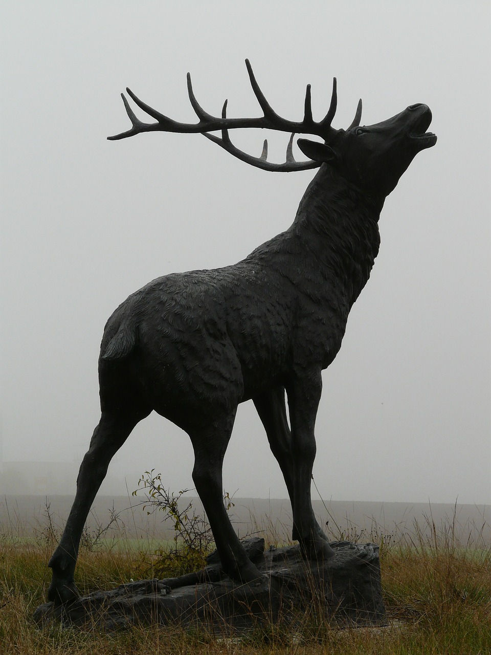 red deer bronze statue hirsch free photo