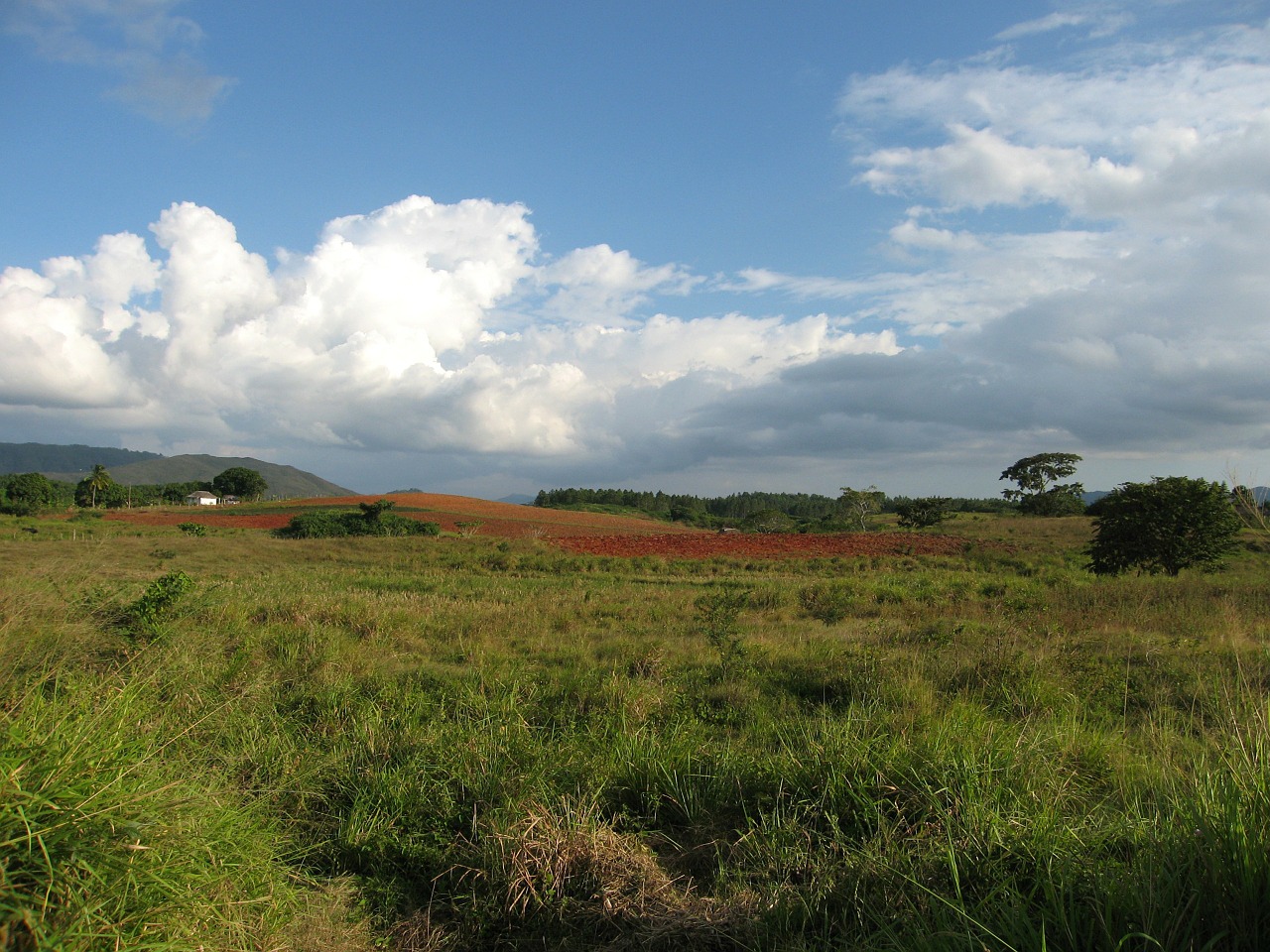 red earth landscape cuba free photo