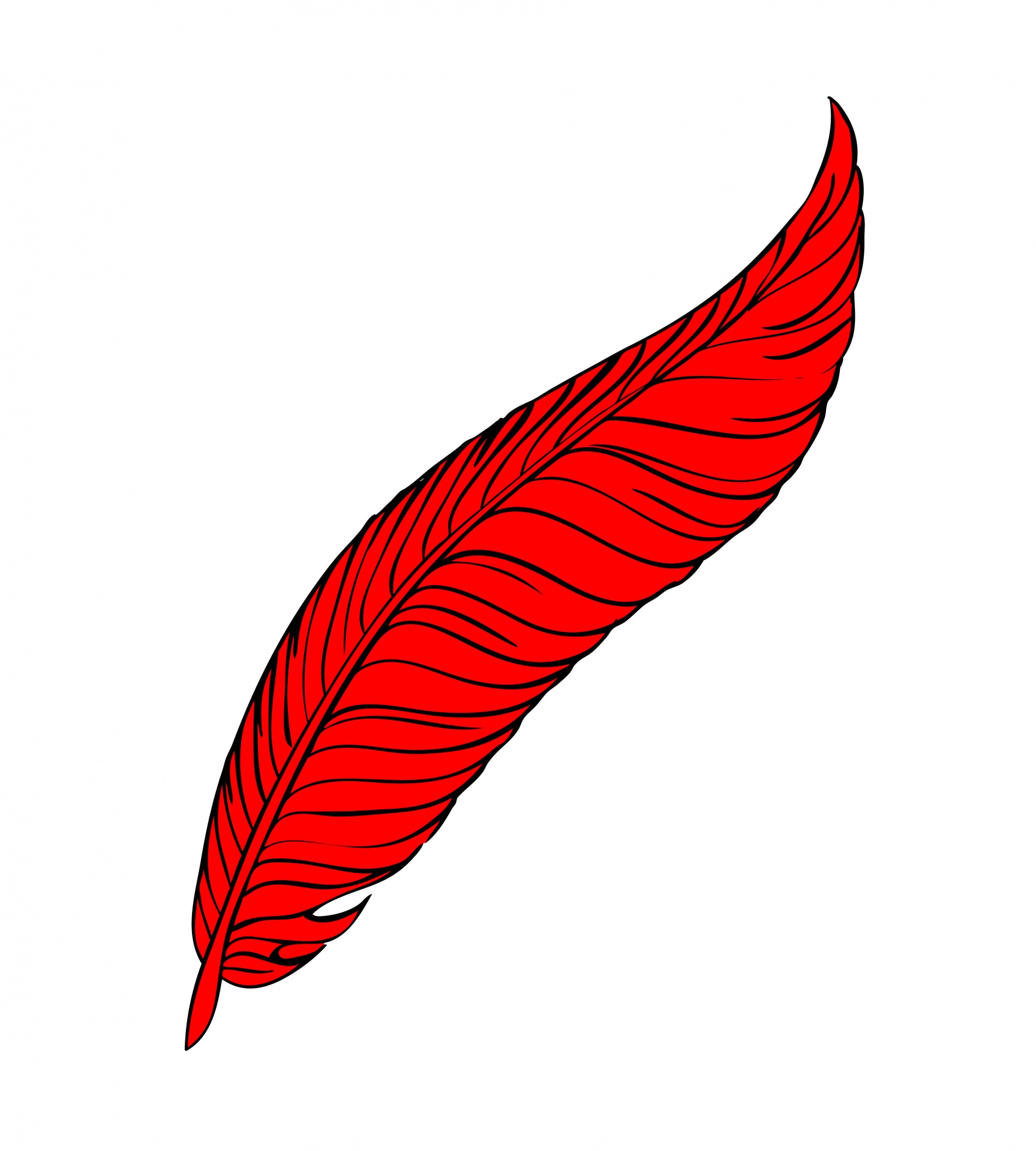 feather red line art free photo