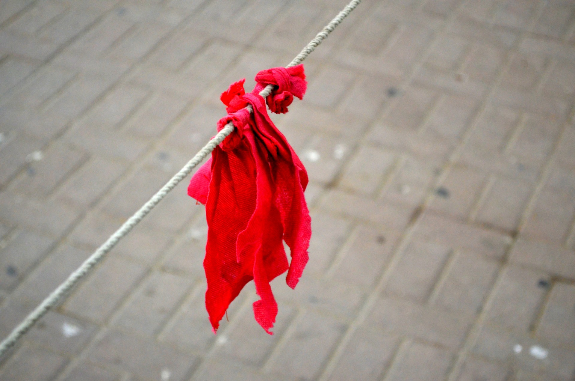 warning red flag rope free photo
