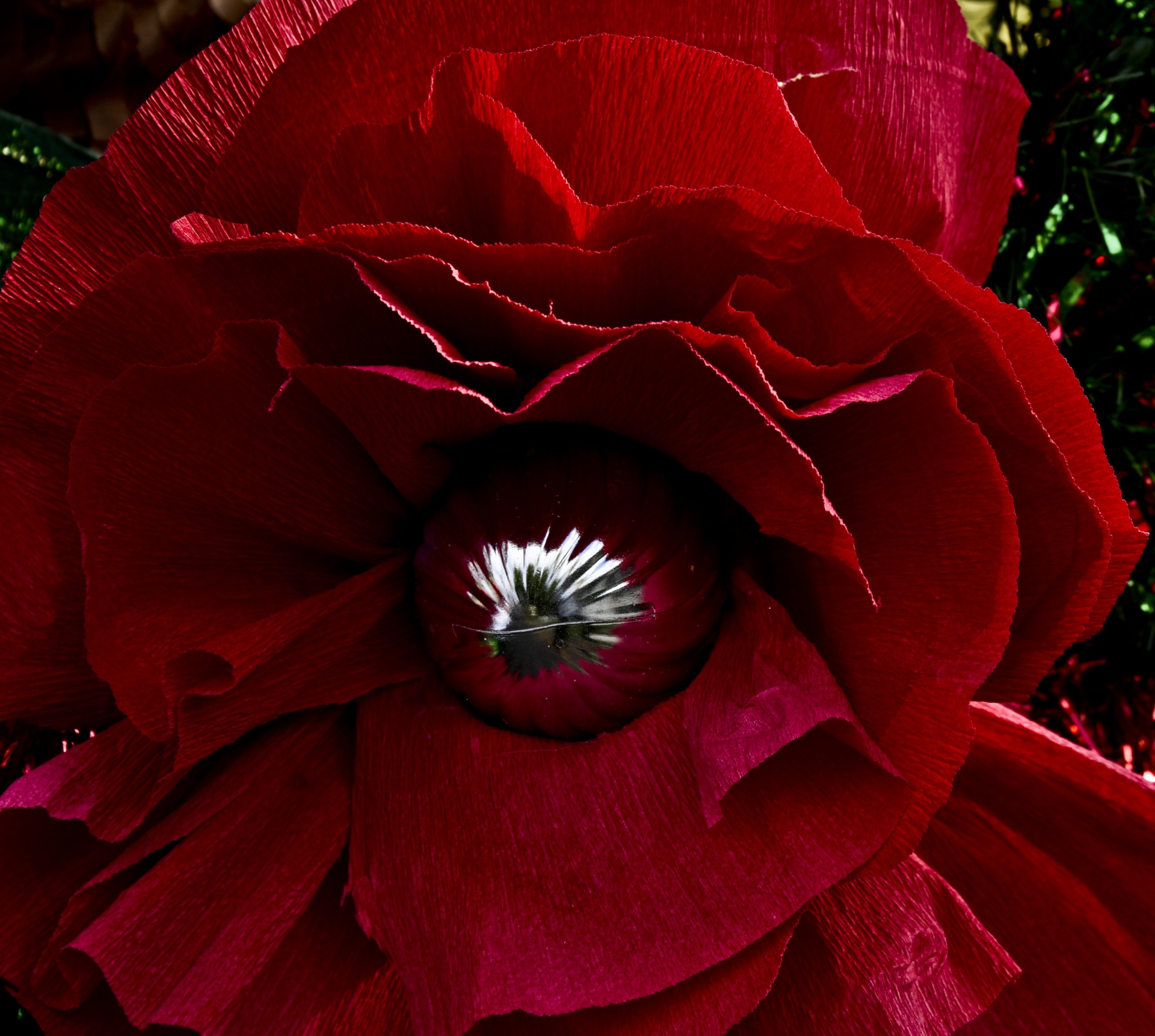 flower red ornament free photo