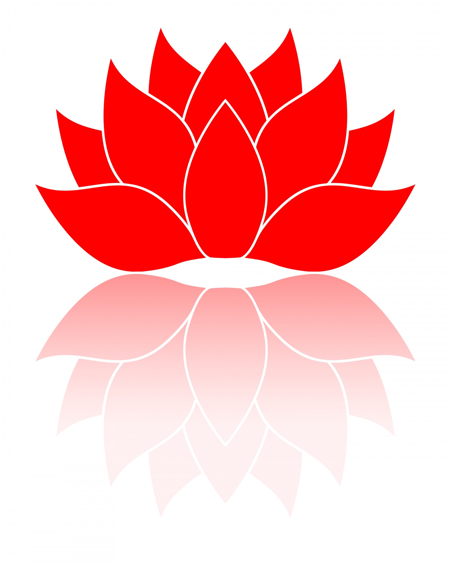 red flower white background free photo