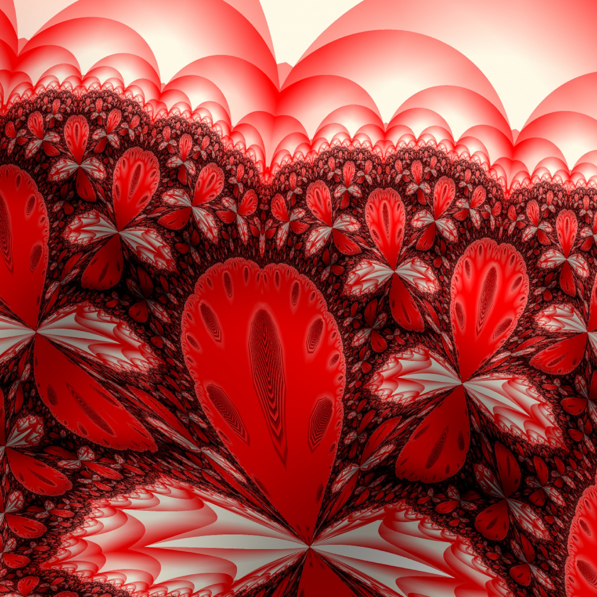 red flowers abstract free photo