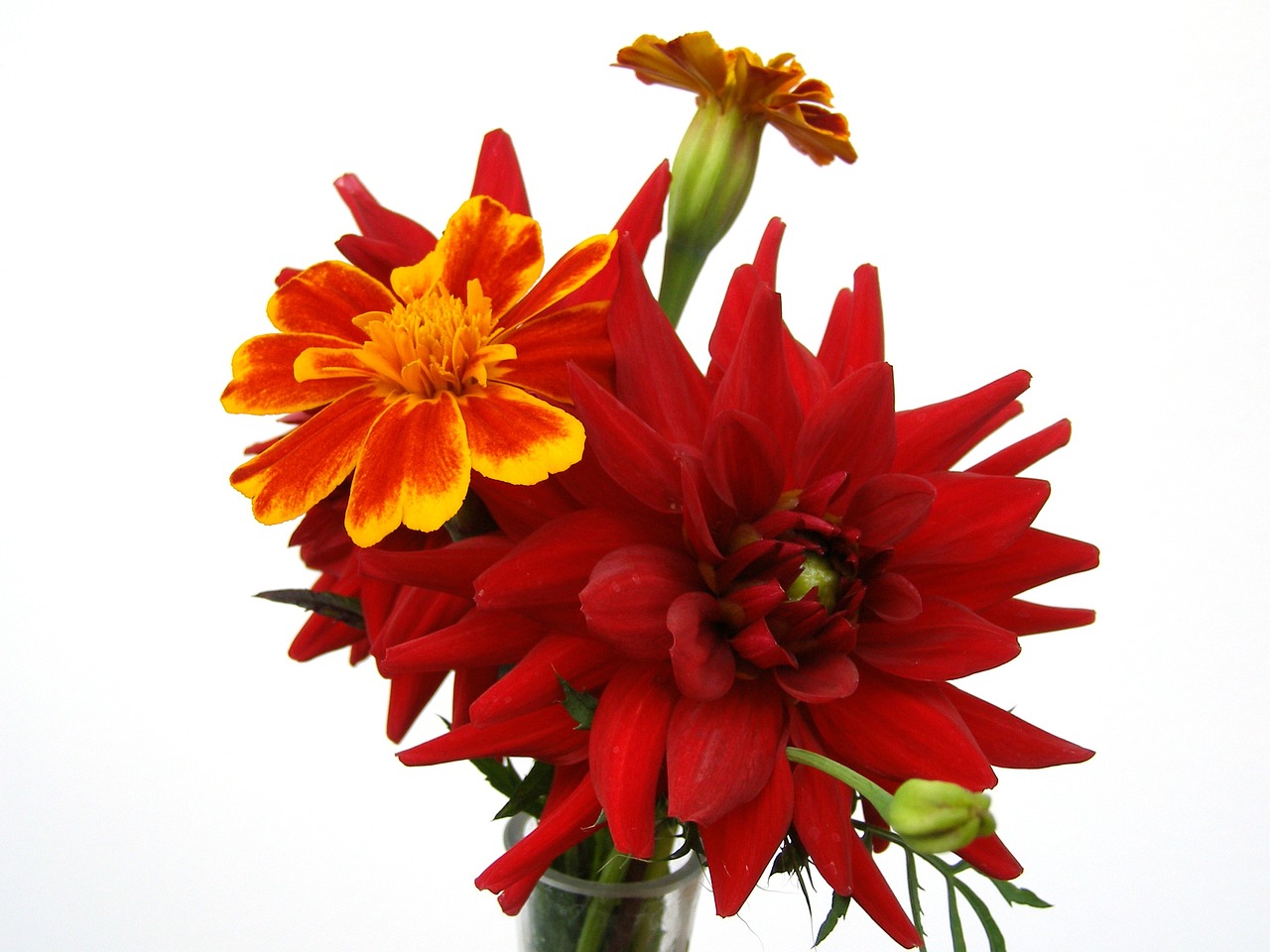red flowers bouquet as lien free photo