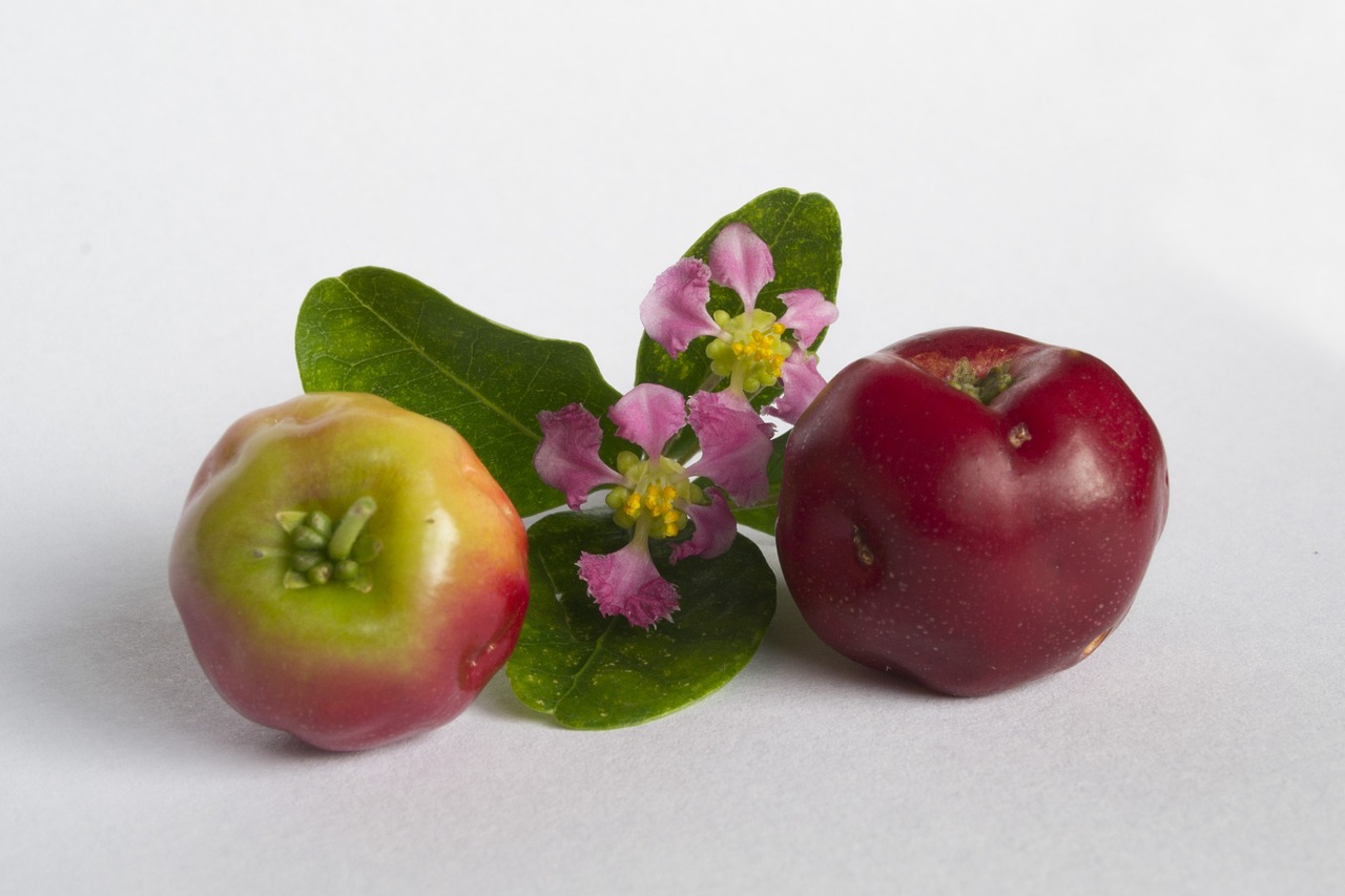 red fruit fruit frutas free photo