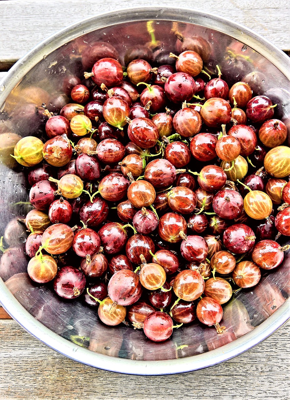 red gooseberries fruits soft fruit free photo