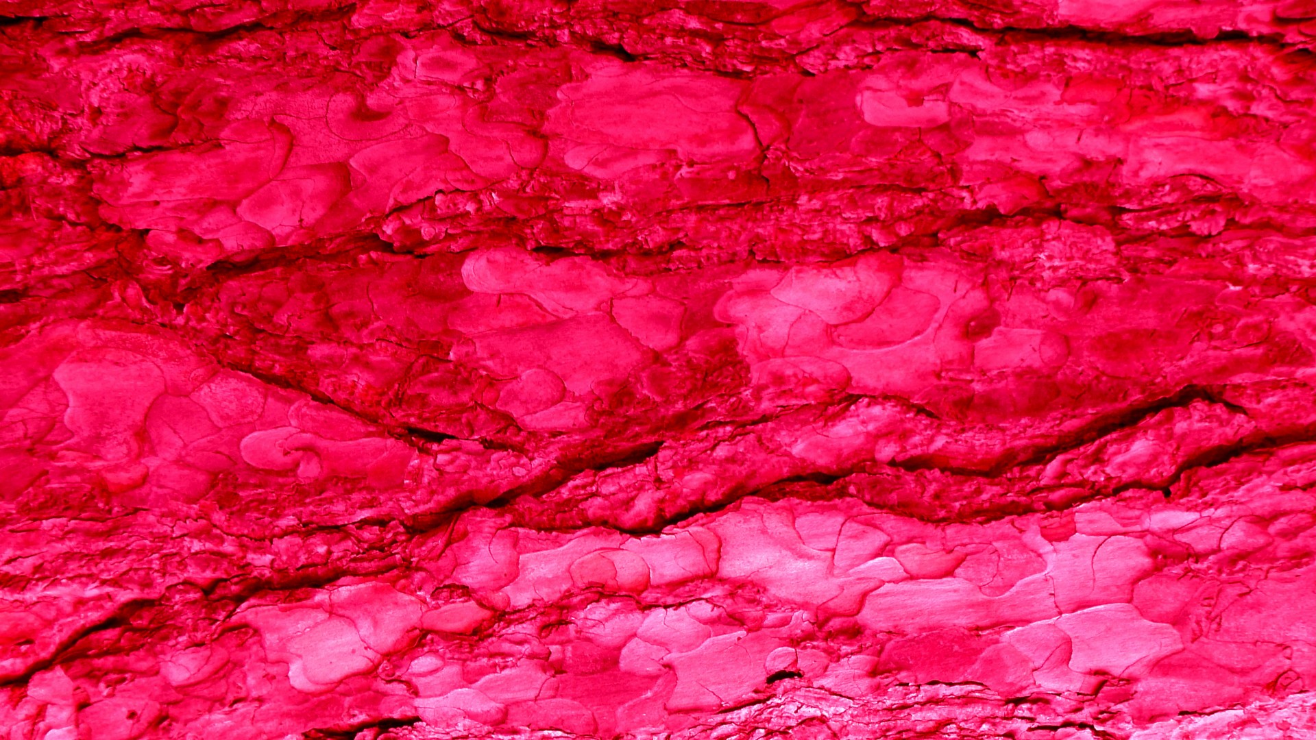 red pink web free photo