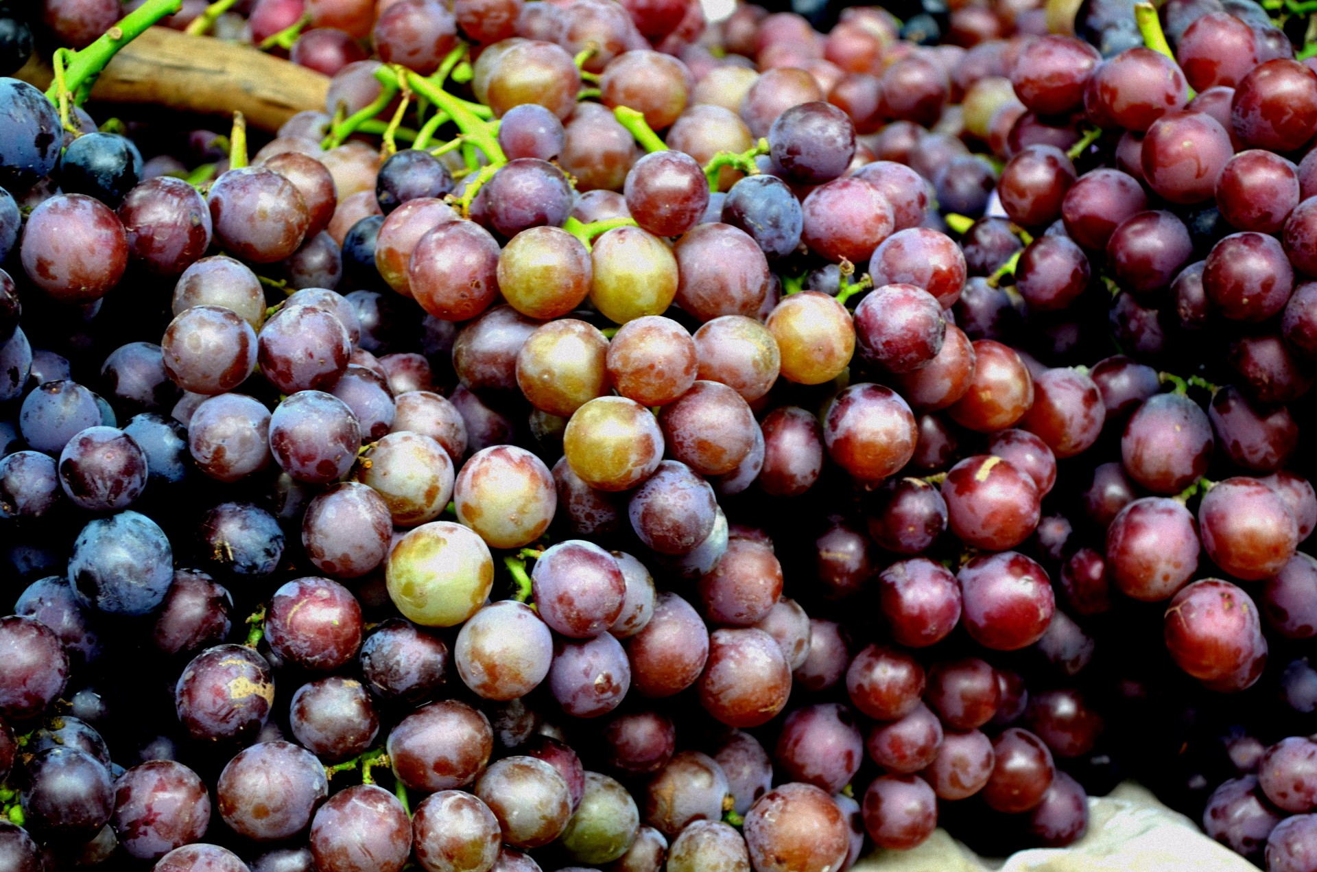 food fruit grape free photo