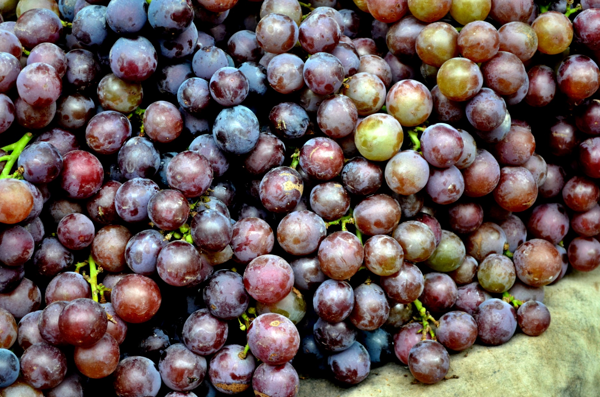 food fruit grapes free photo