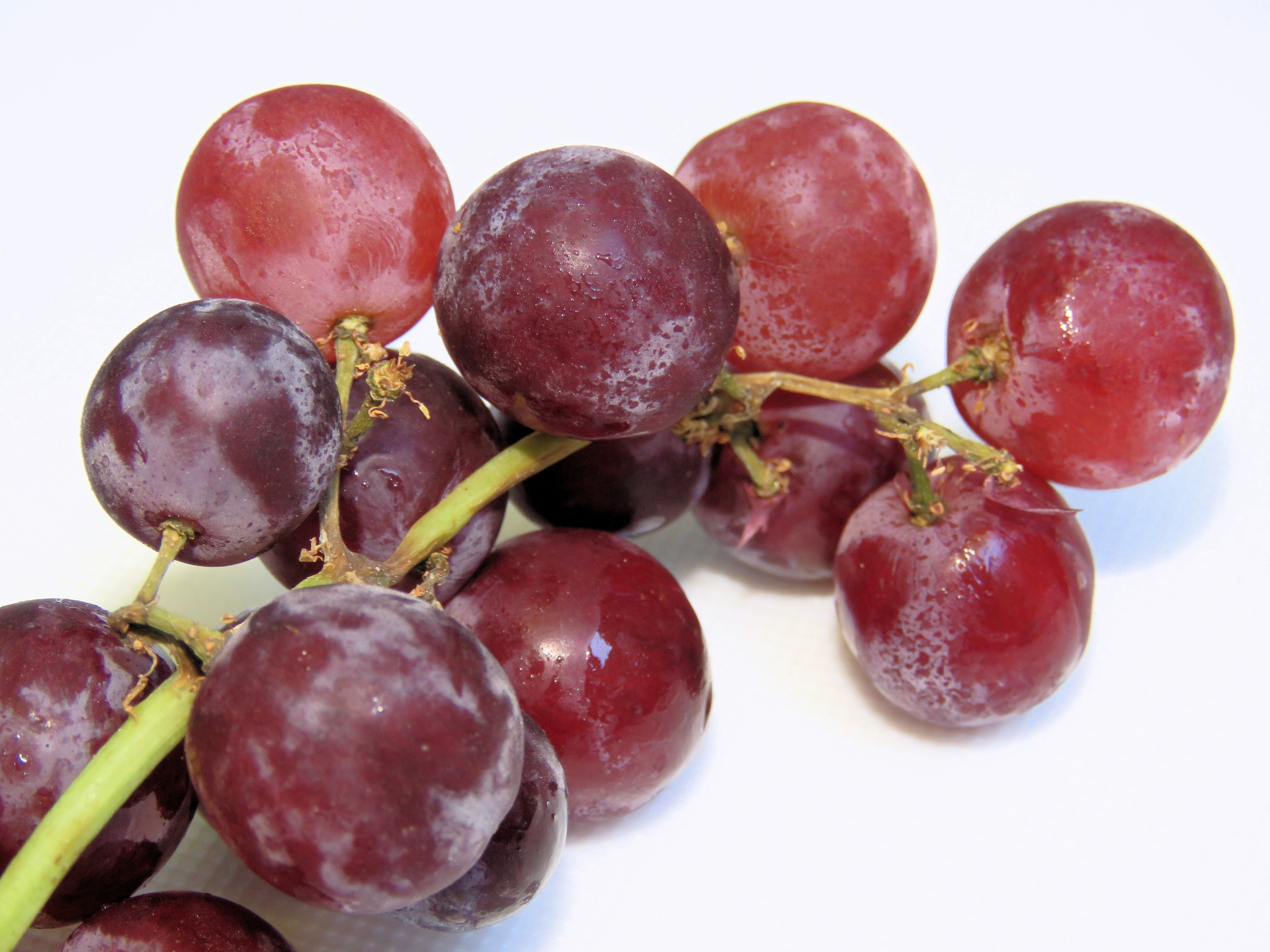 grapes red white free photo