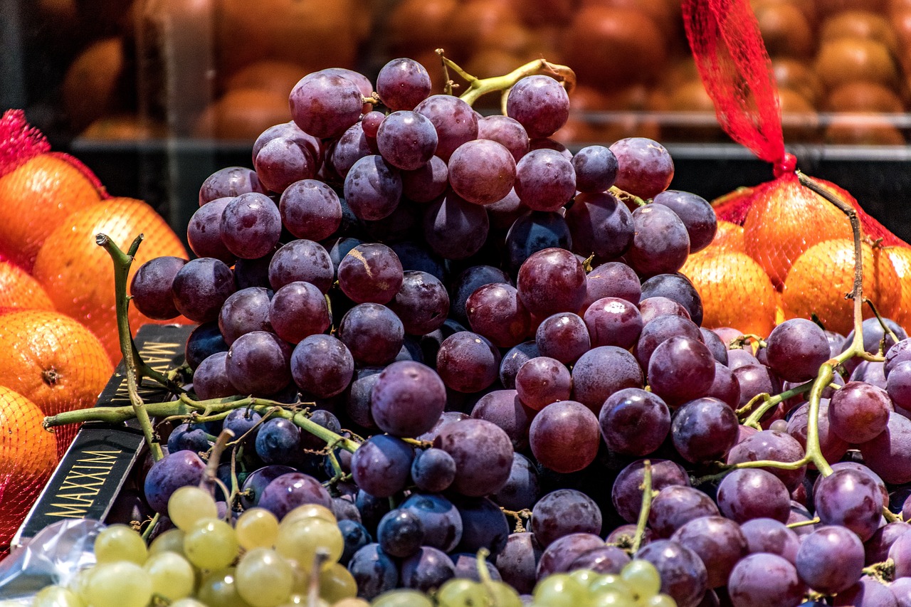 red grapes  oranges  green grapes free photo