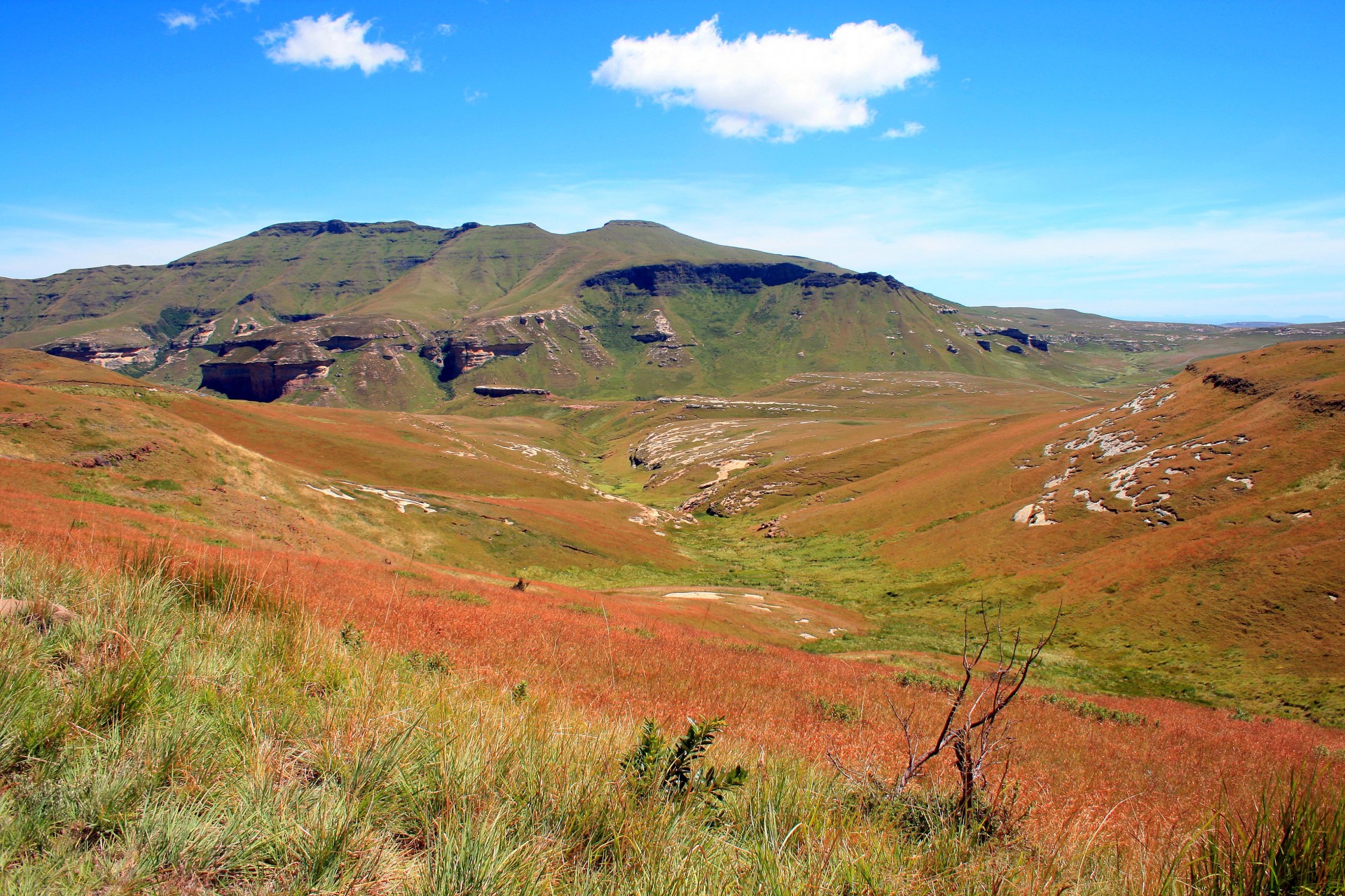 mountain landscape eastern free state red grass on mountain slope free photo