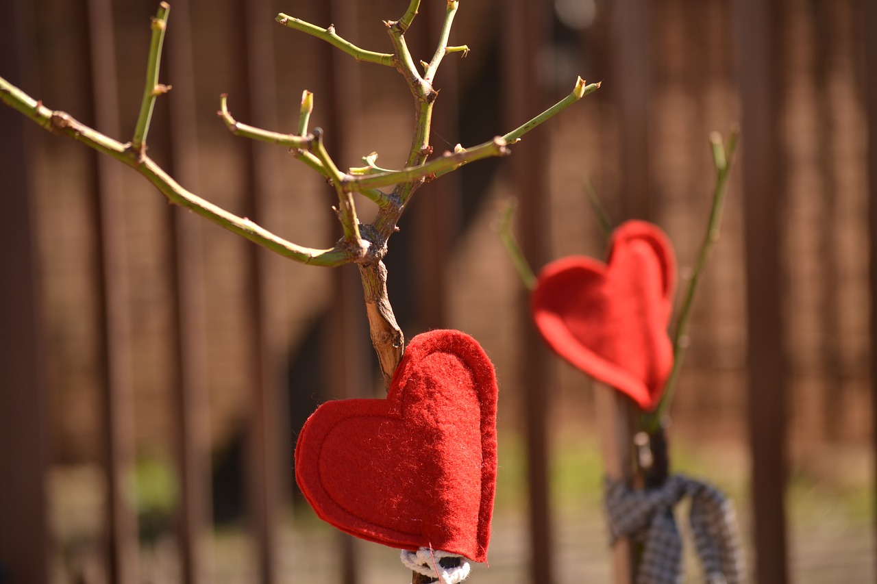red hearts decoration rose tree free photo