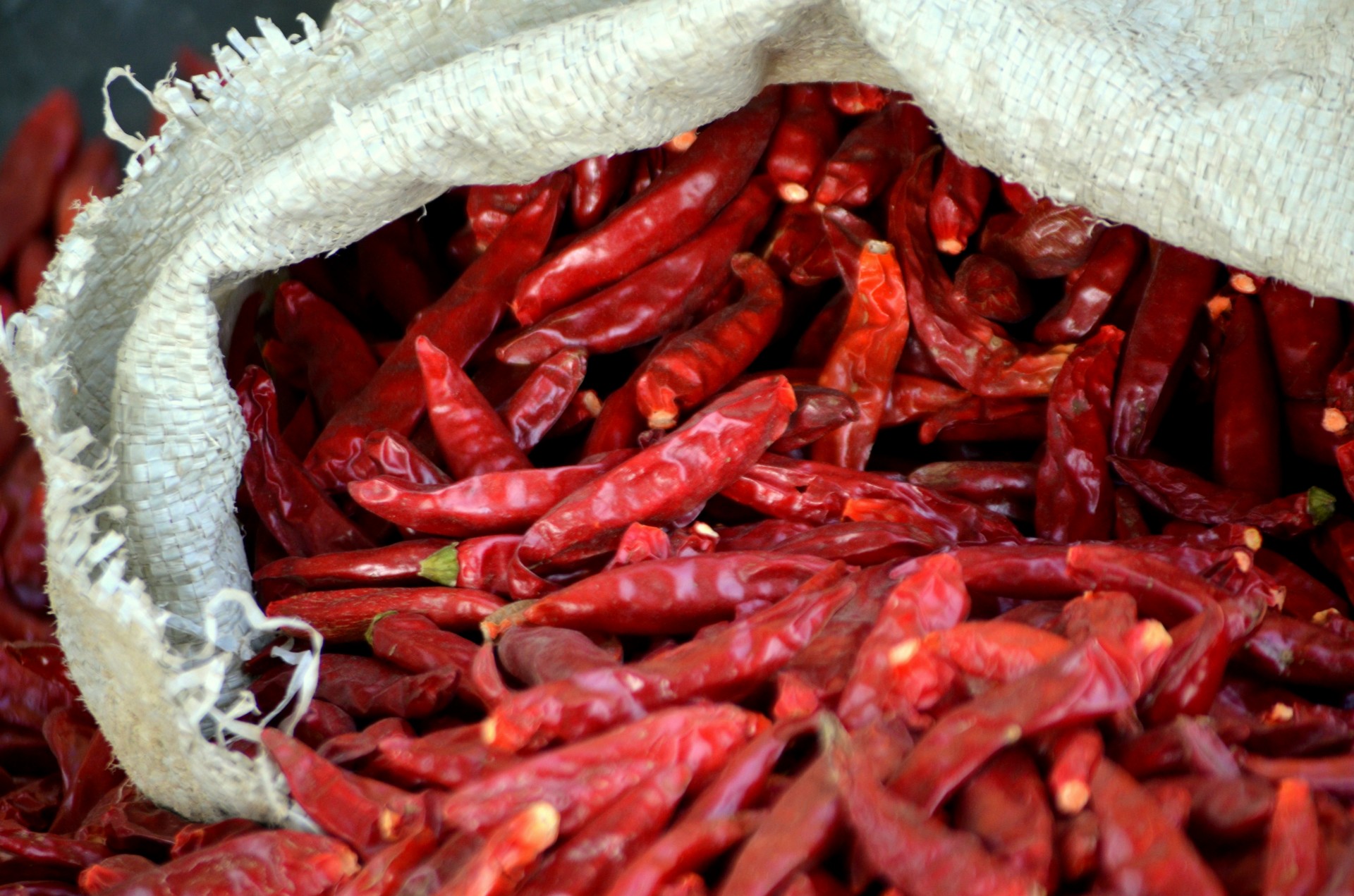 food chili red hot free photo