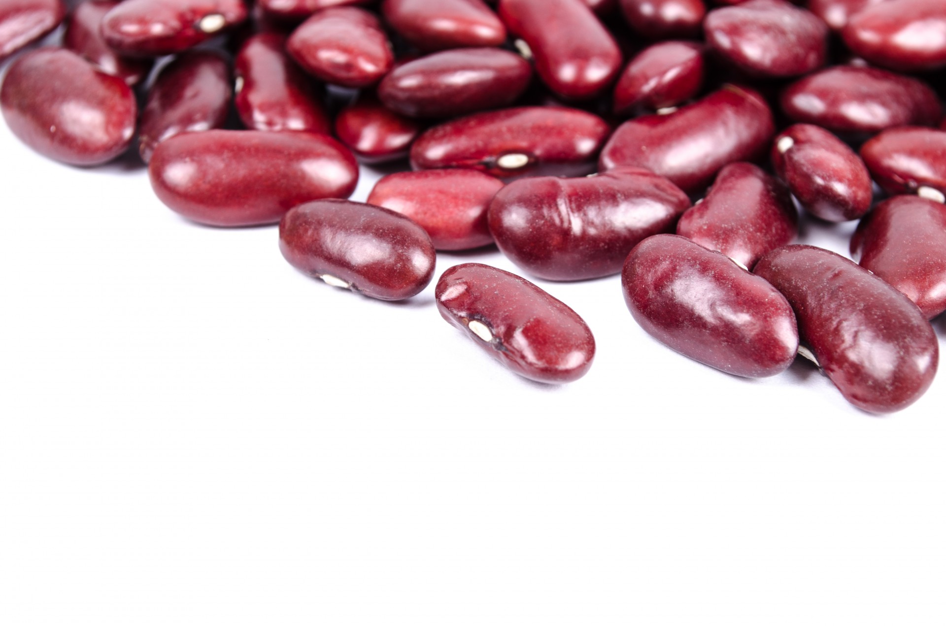 beans red seed free photo