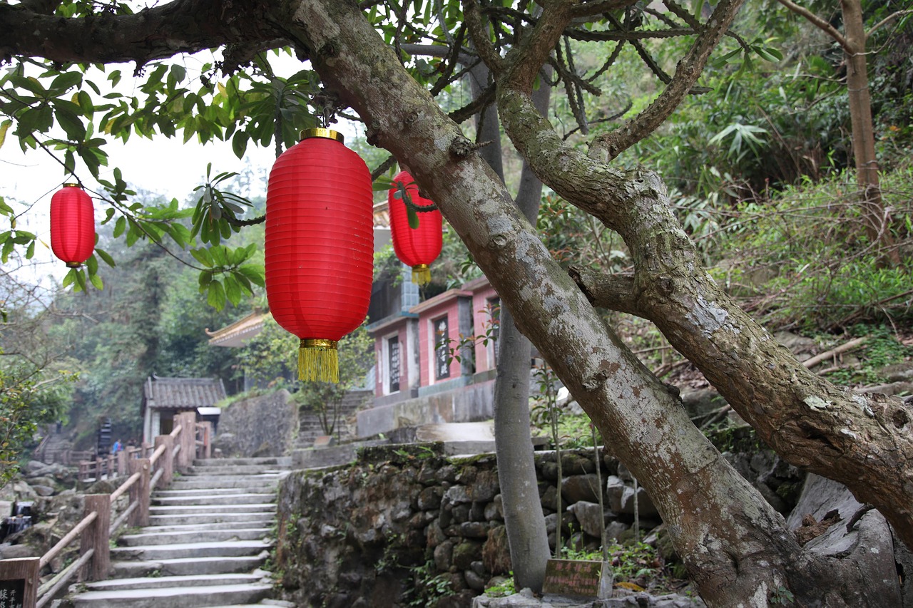 red lantern tree ladder free photo