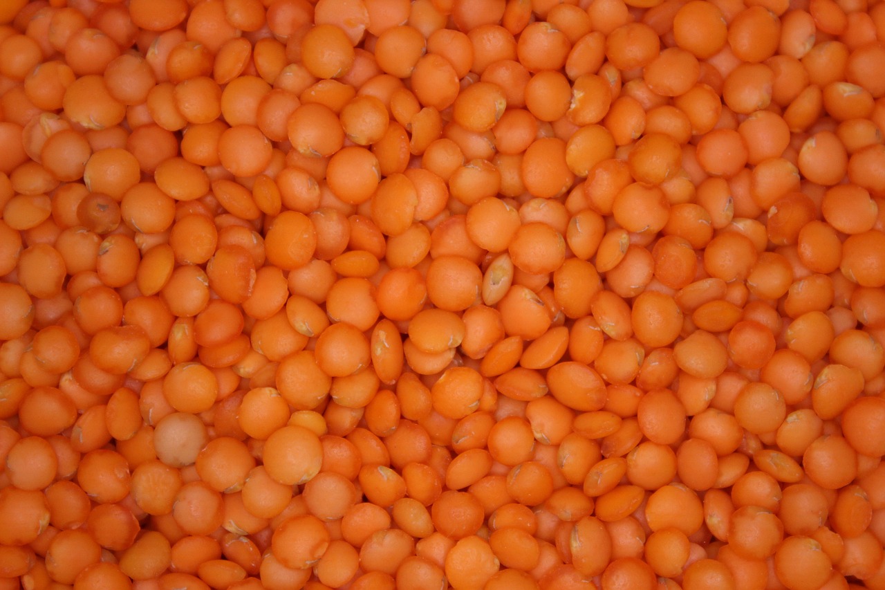 red lentils food legumes free photo