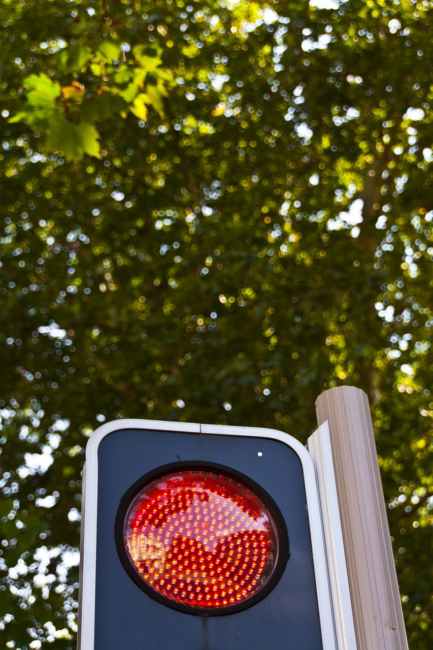 red light traffic signal free photo