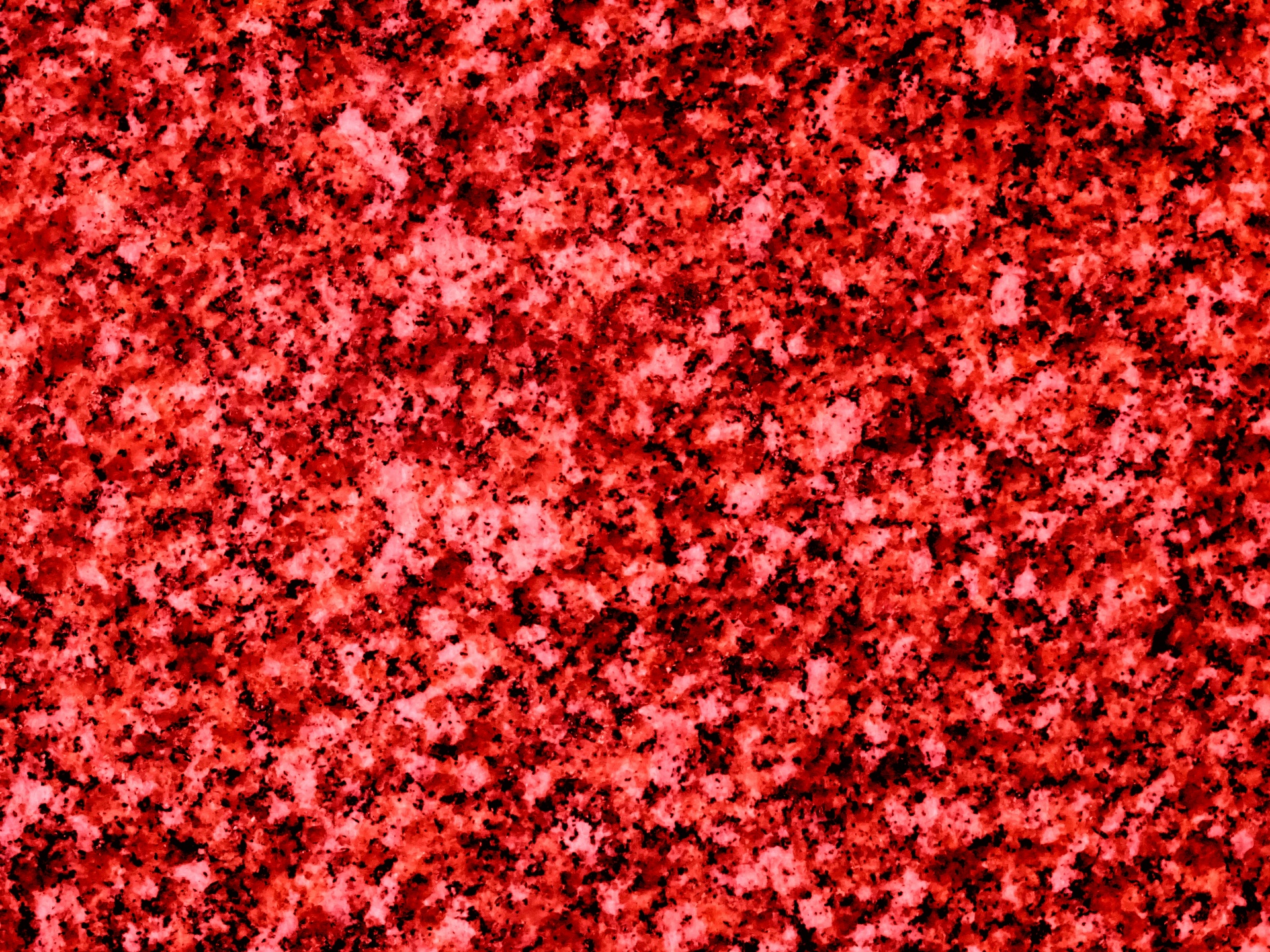 red pink background free photo