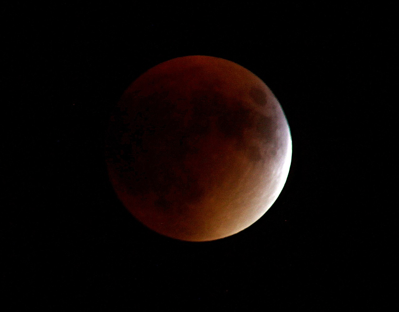 red moon moon eclipse free photo