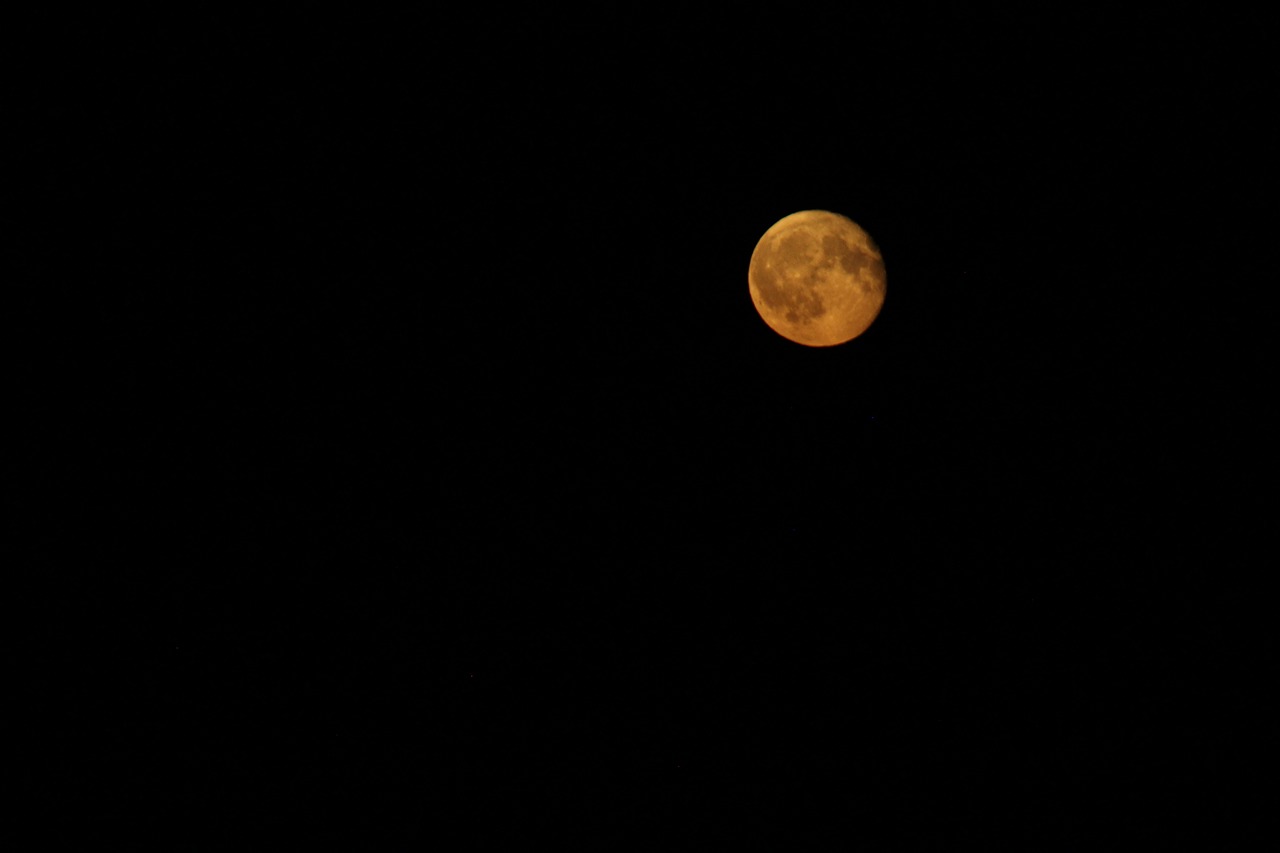 red moon  moon  dark free photo