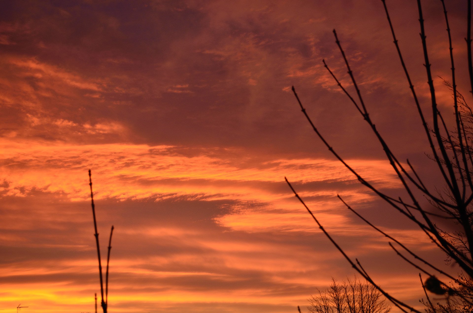 morning sun red free photo