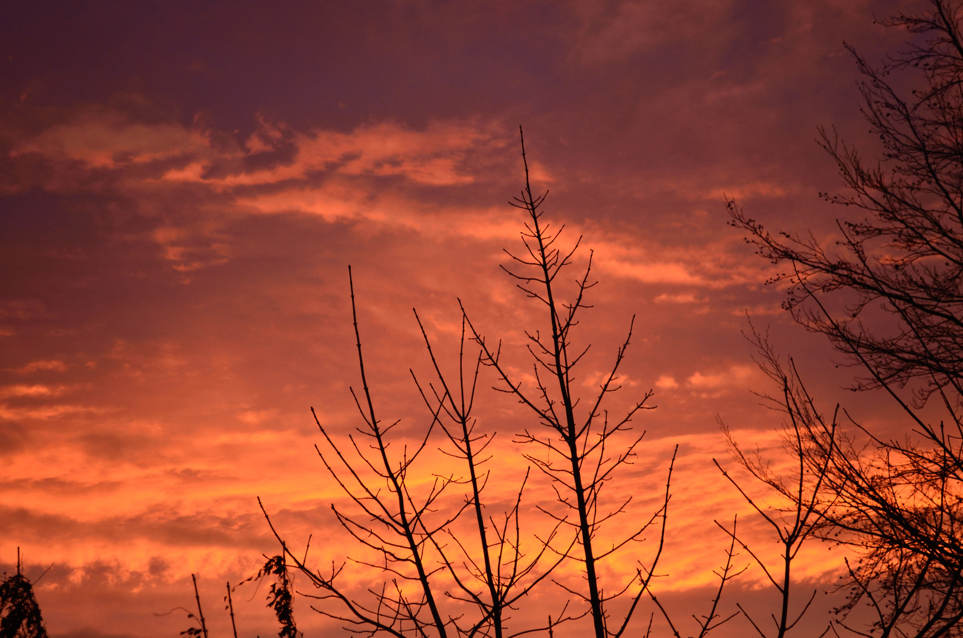 morning sun red free photo