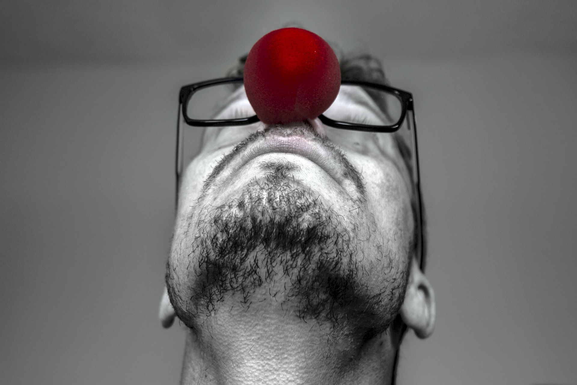 red nose clown nose red free photo