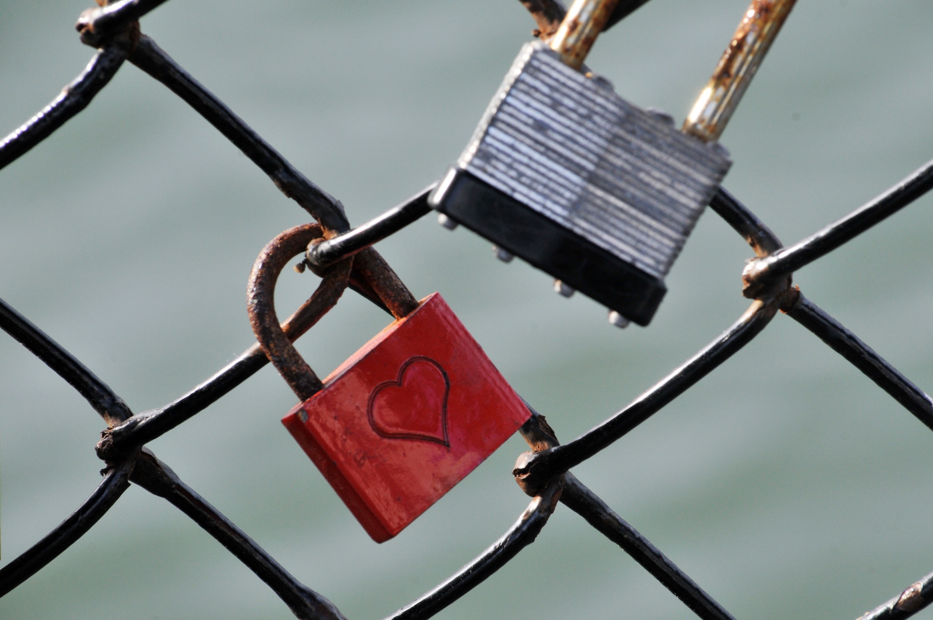 padlock heart love free photo