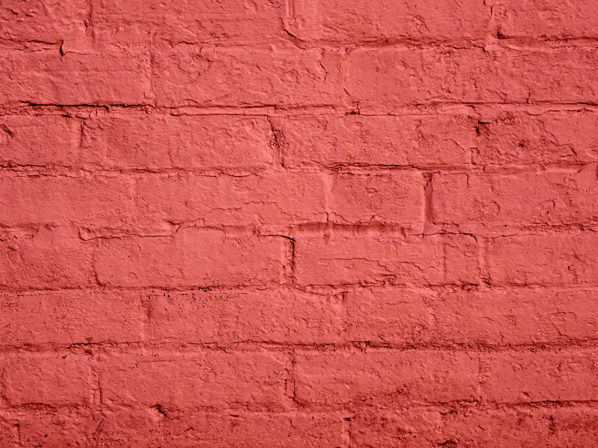 red pink background free photo