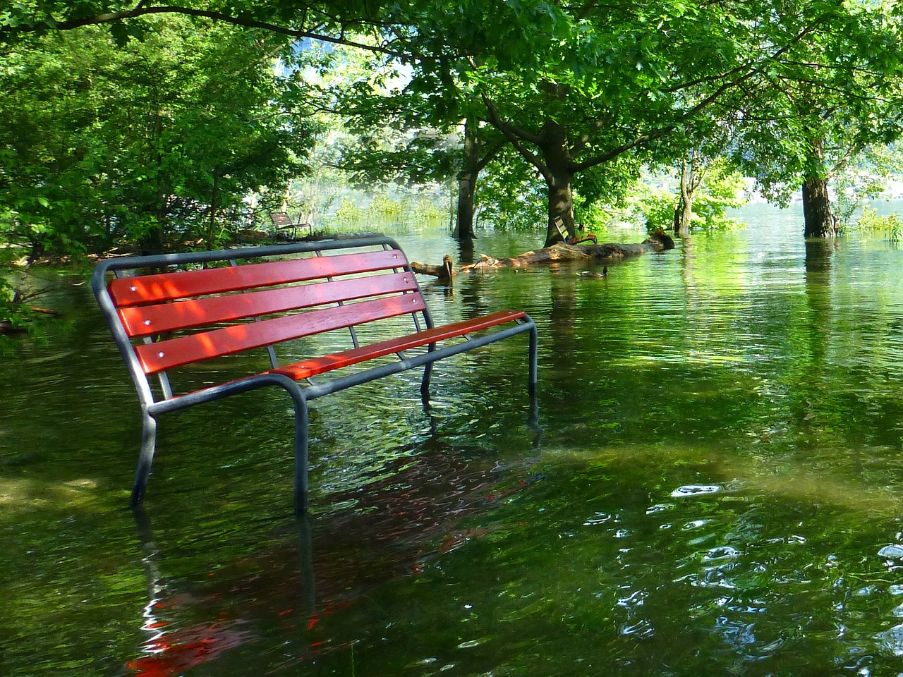 red park bench high water lago maggiore free photo
